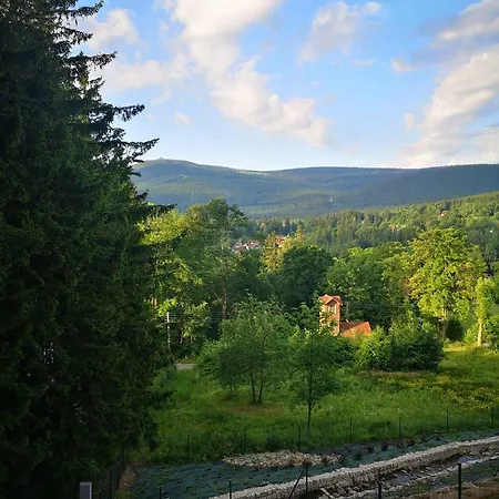 Czarna Perla Apartment
